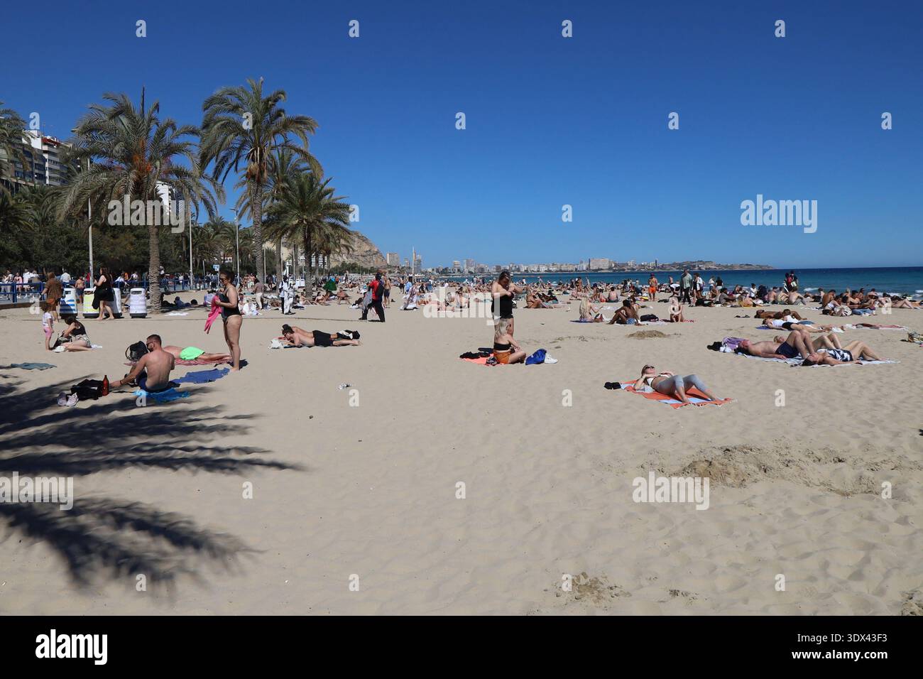 Spiaggia di Alicante lungo il Mar Mediterraneo, città di Alicante, provincia di Alicante, Spagna Foto Stock