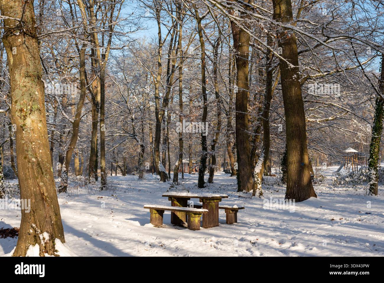 Un'area picnic coperta di neve nella foresta di Poissy, Francia. Paesaggio invernale Foto Stock