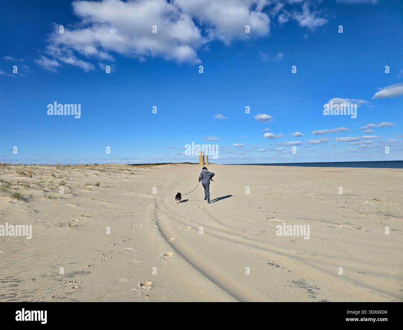 Persona che cammina un cane lungo un'ampia spiaggia sabbiosa sotto un cielo blu brillante a Rehoboth Beach, Delaware. - Immagine stock catturata con smartphone