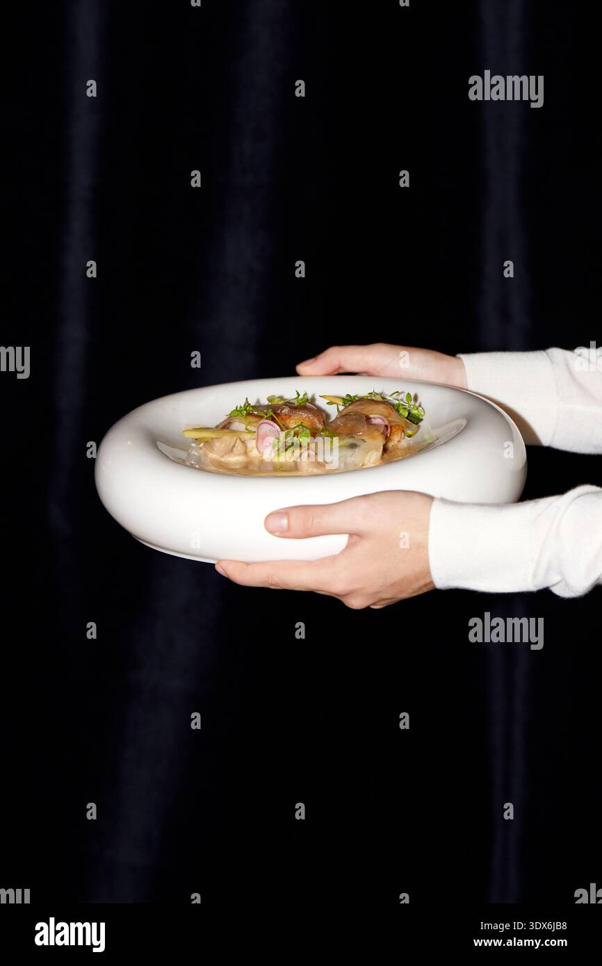 Una persona presenta un piatto gourmet splendidamente placcato in un'elegante ciotola bianca, che mette in risalto l'arte in un ambiente raffinato da ristorante. L'exu del piatto Foto Stock