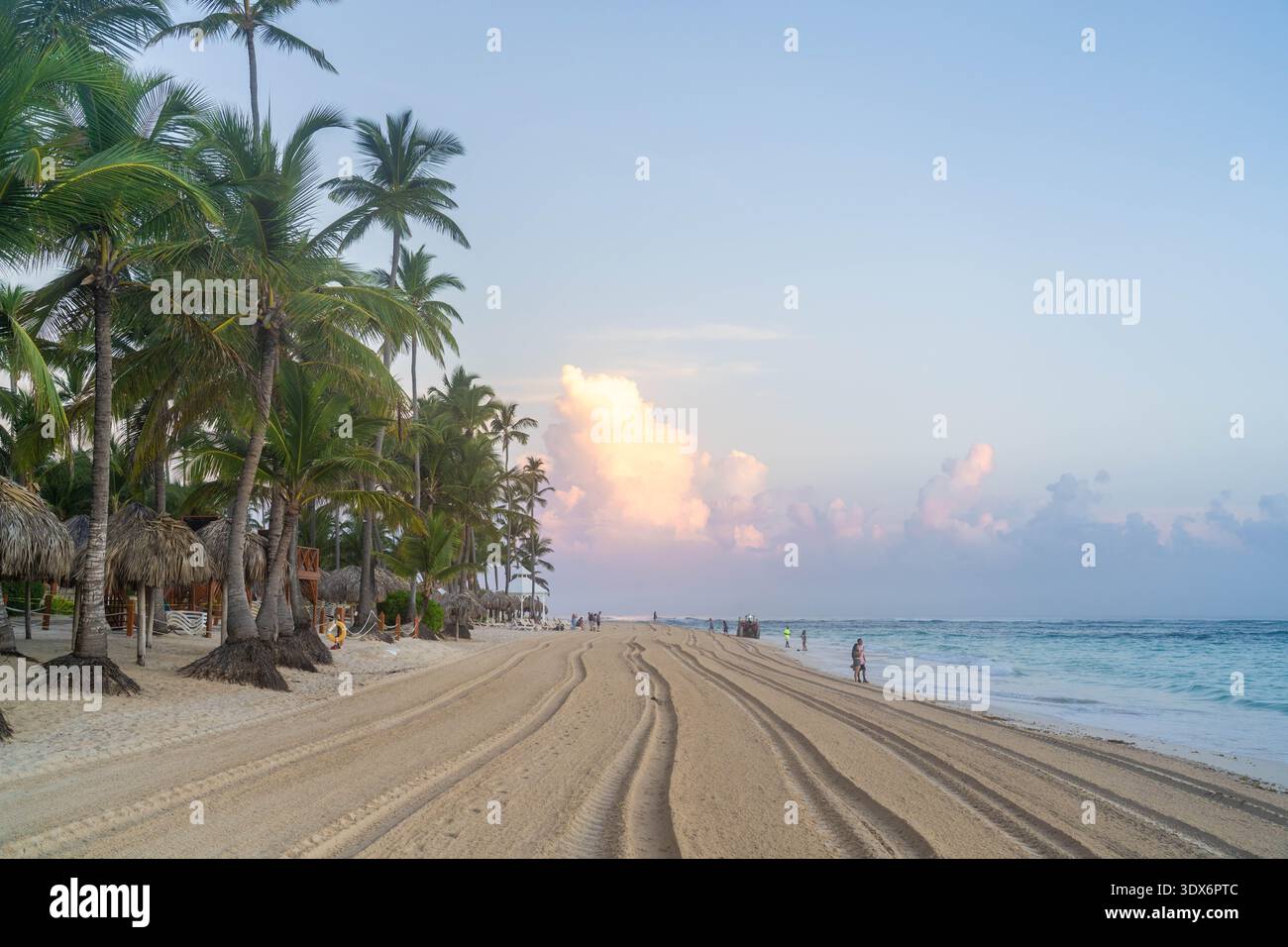 Punta Cana Repubblica Dominicana - 20 ottobre 2024: Palme e una spiaggia curata all'alba a Punta Cana Repubblica Dominicana Foto Stock