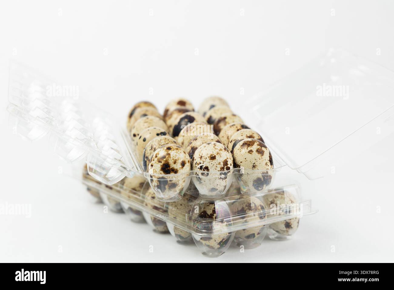 Le uova di quaglia sono sistemate in un contenitore di plastica trasparente. Hanno una superficie macchiata e sono conservati in modo sicuro. Foto Stock