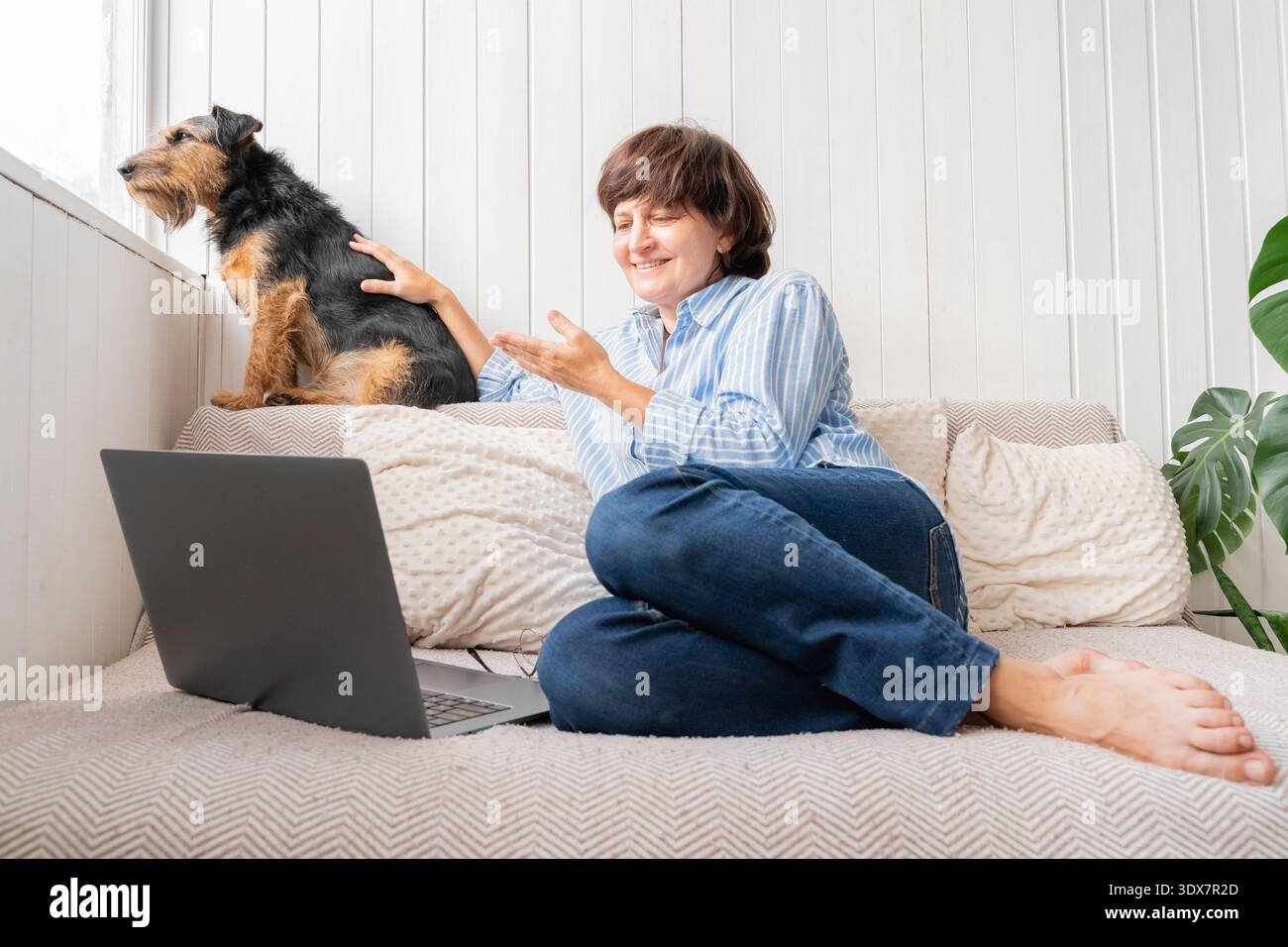 Videochiamate caucasiche con un computer portatile, sedute su un divano con un cane, ambiente informale al chiuso Foto Stock