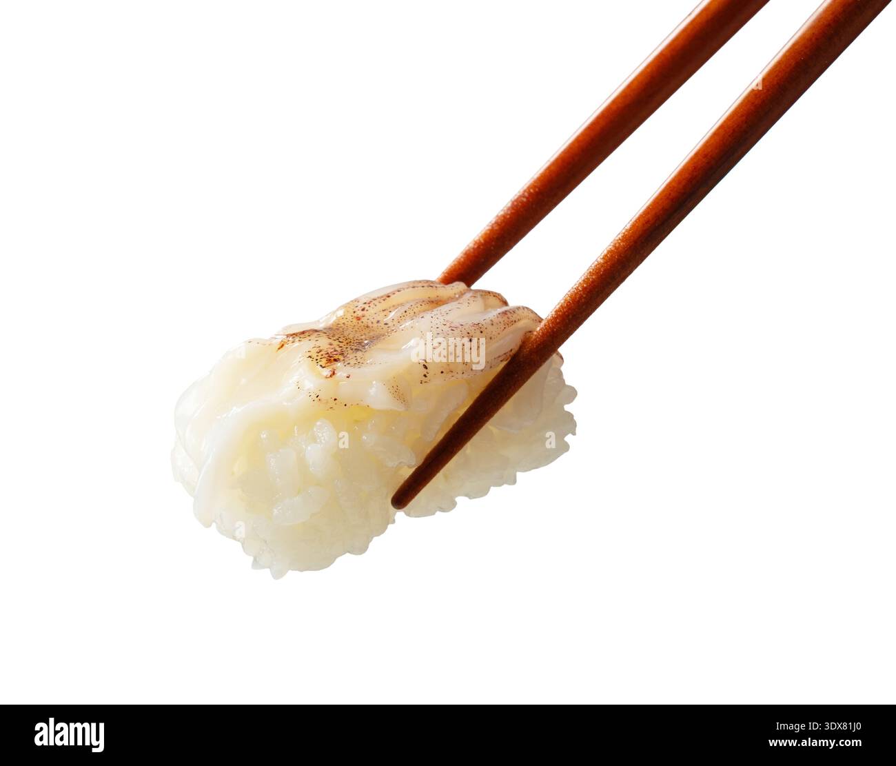 Squid (Ika) Nigiri Sushi tenuto da bastoncini isolati su sfondo bianco Foto Stock