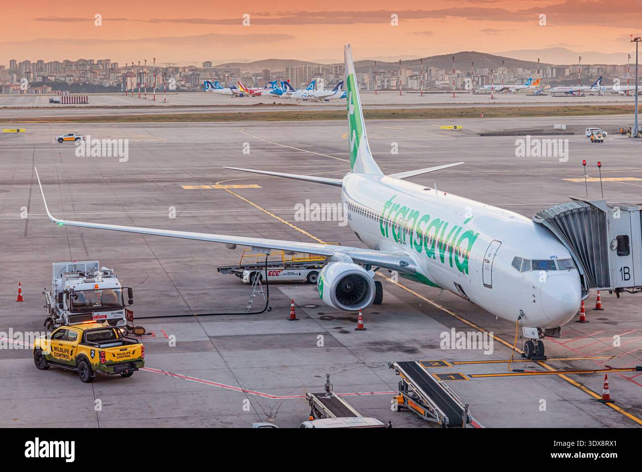 28 novembre 2025, Istanbul, Turkiye: Aeroplano parcheggiato in un ponte di reazione durante il tramonto, l'equipaggio di terra serve l'aereo sull'asfalto Foto Stock