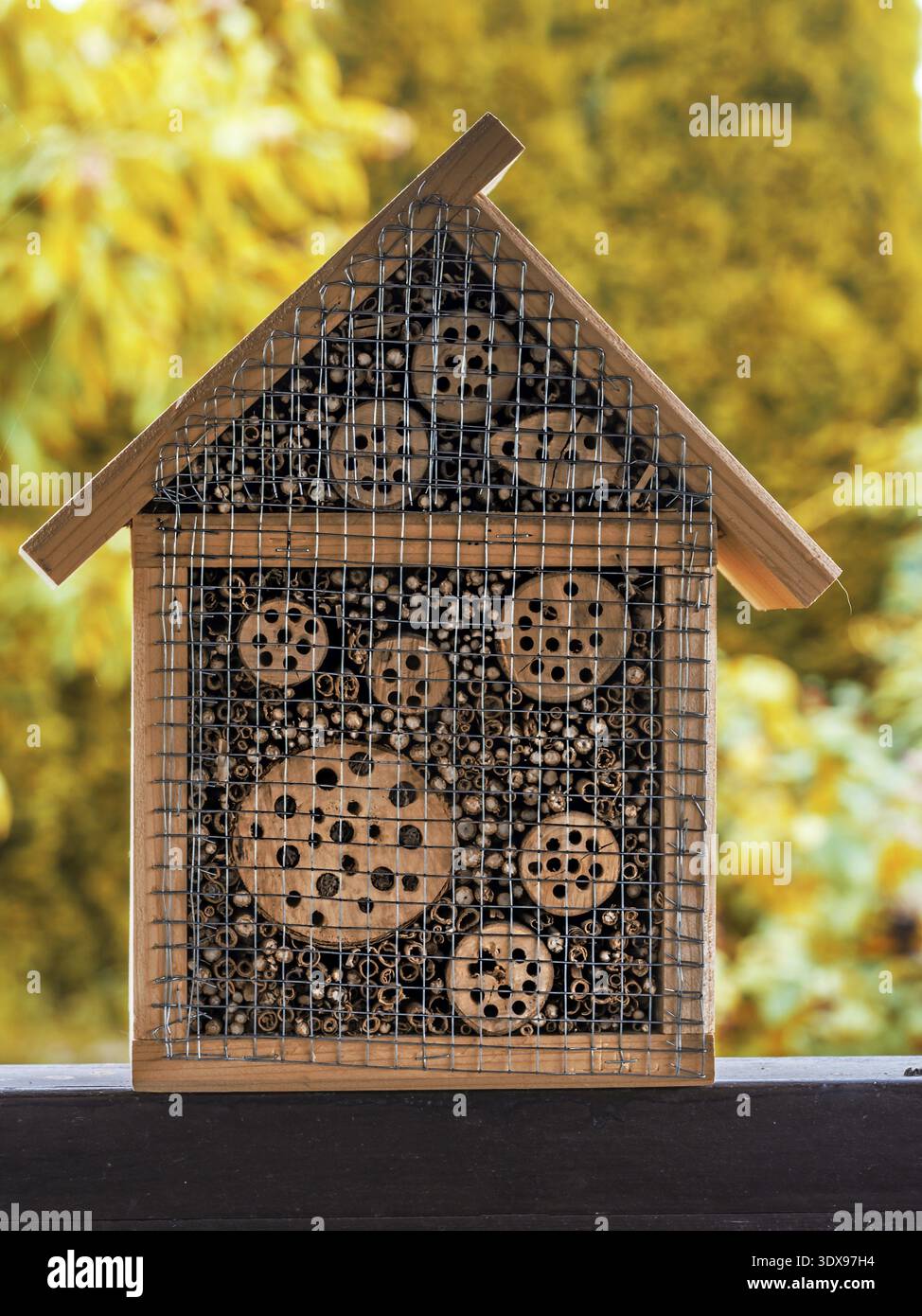 Un giardino di ricovero per wild critters e insetti per aiutare a sopravvivere Inverno tempo Foto Stock