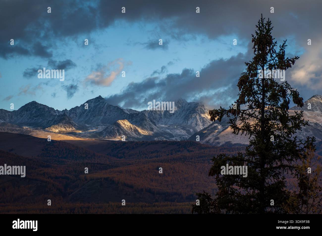 Splendida catena montuosa innevata con alberi di pino dalla silhouette solitaria durante il suggestivo tramonto del cielo Foto Stock
