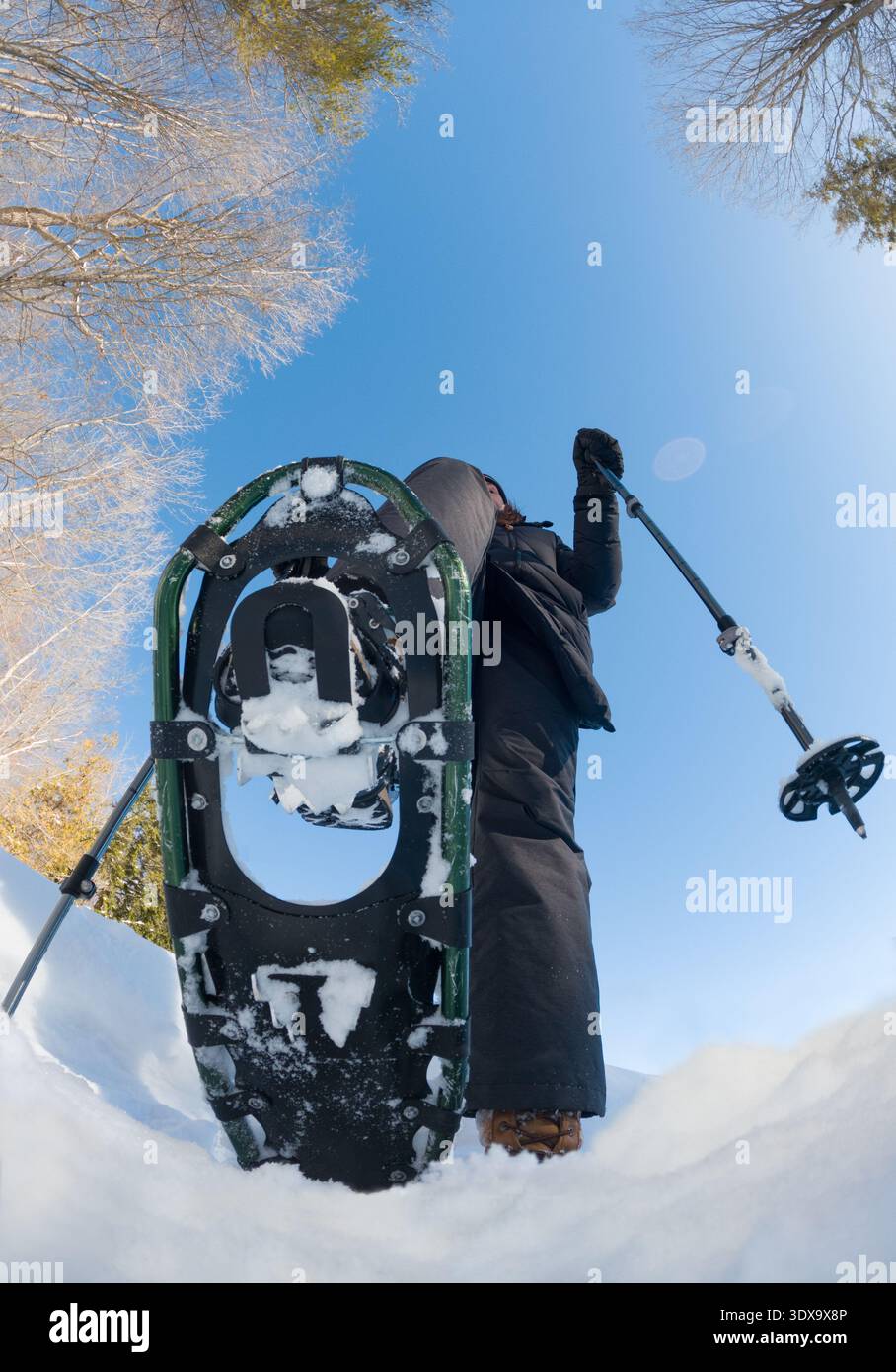 Ciaspolate da persona in un giorno d'inverno soleggiato scattate dal basso. Foto Stock