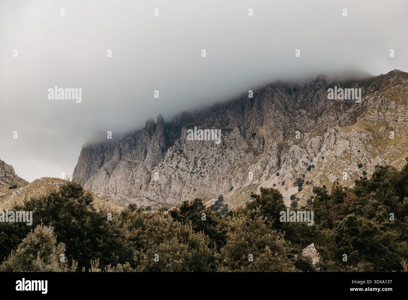 Cresta rocciosa con nebbia a Serra de Tramuntana, Maiorca Foto Stock