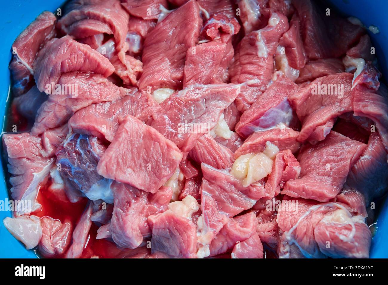 Tagliare i cubetti di carne cruda appena sfornati in un contenitore blu Foto Stock