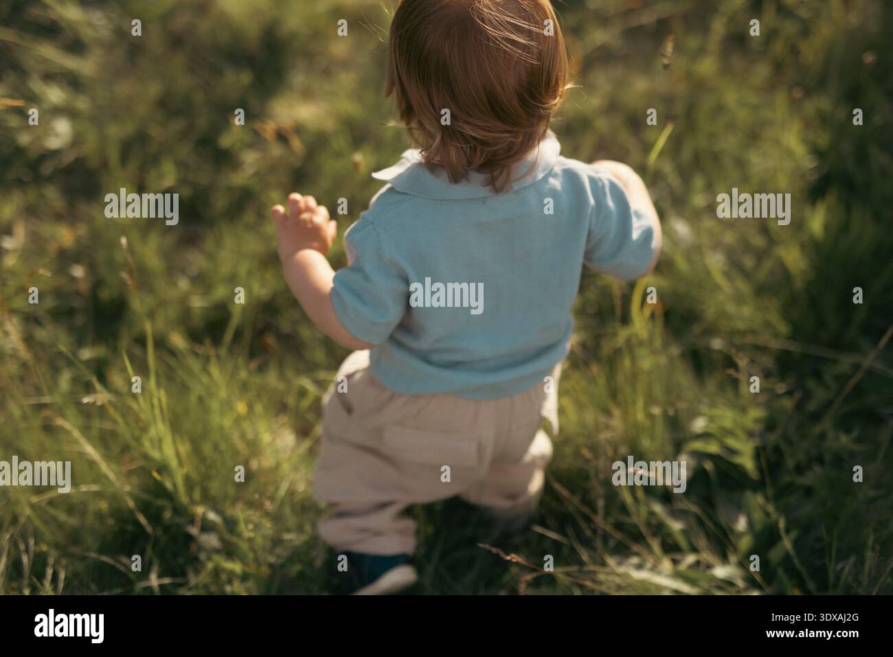 Vista ad angolo alto del bambino che cammina senza pensieri sull'erba nelle giornate di sole Foto Stock