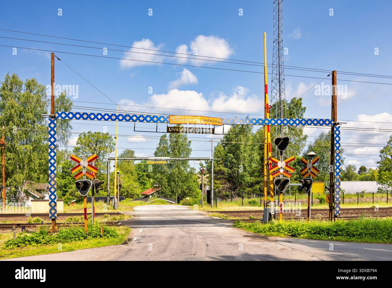 Strada di campagna che attraversa una ferrovia a un passaggio a livello con segnali e cancelli a sbarra Foto Stock