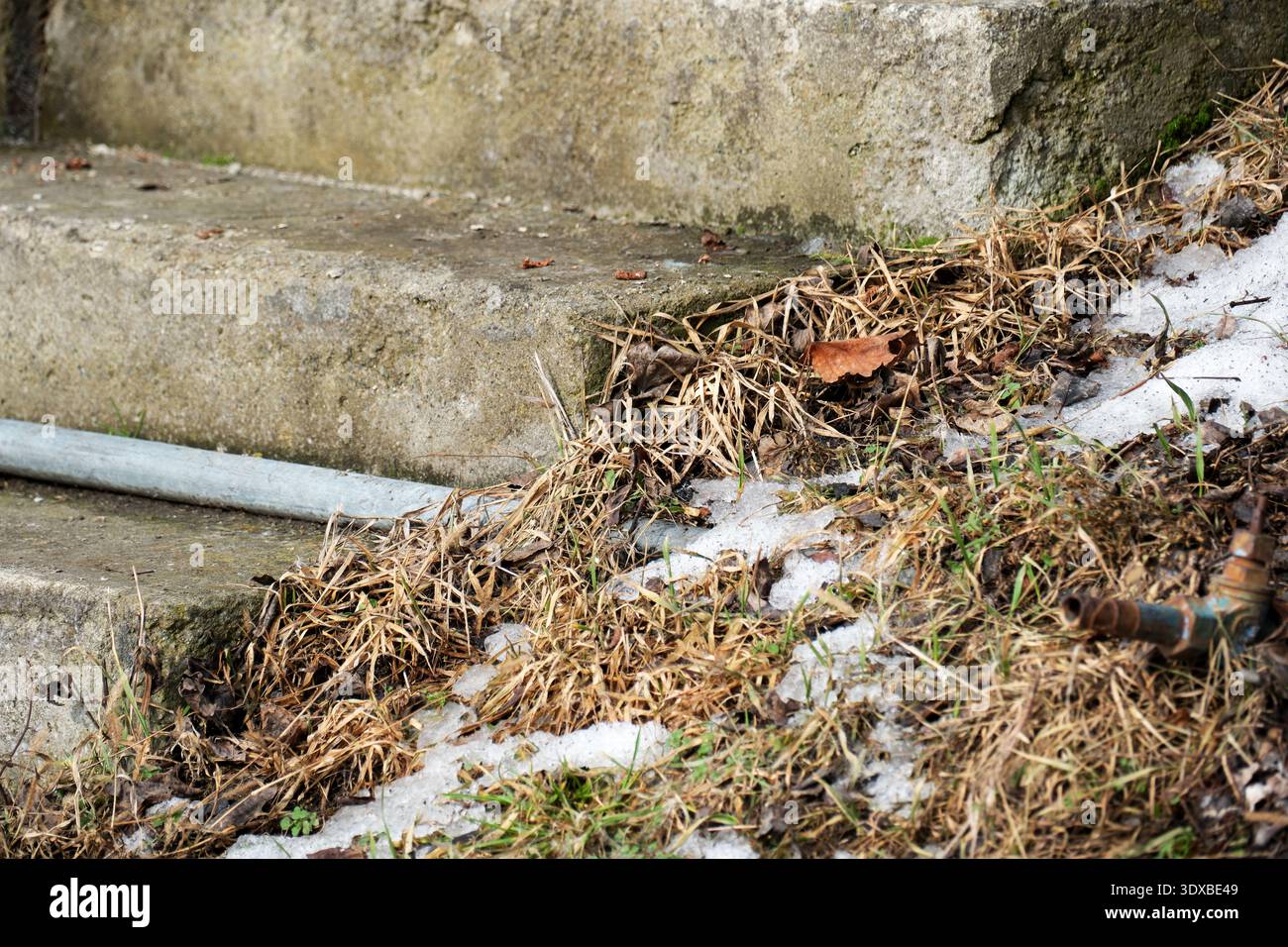 La neve inizia a sciogliersi accanto ai vecchi gradini di pietra, rivelando macchie di erba secca. Foto Stock