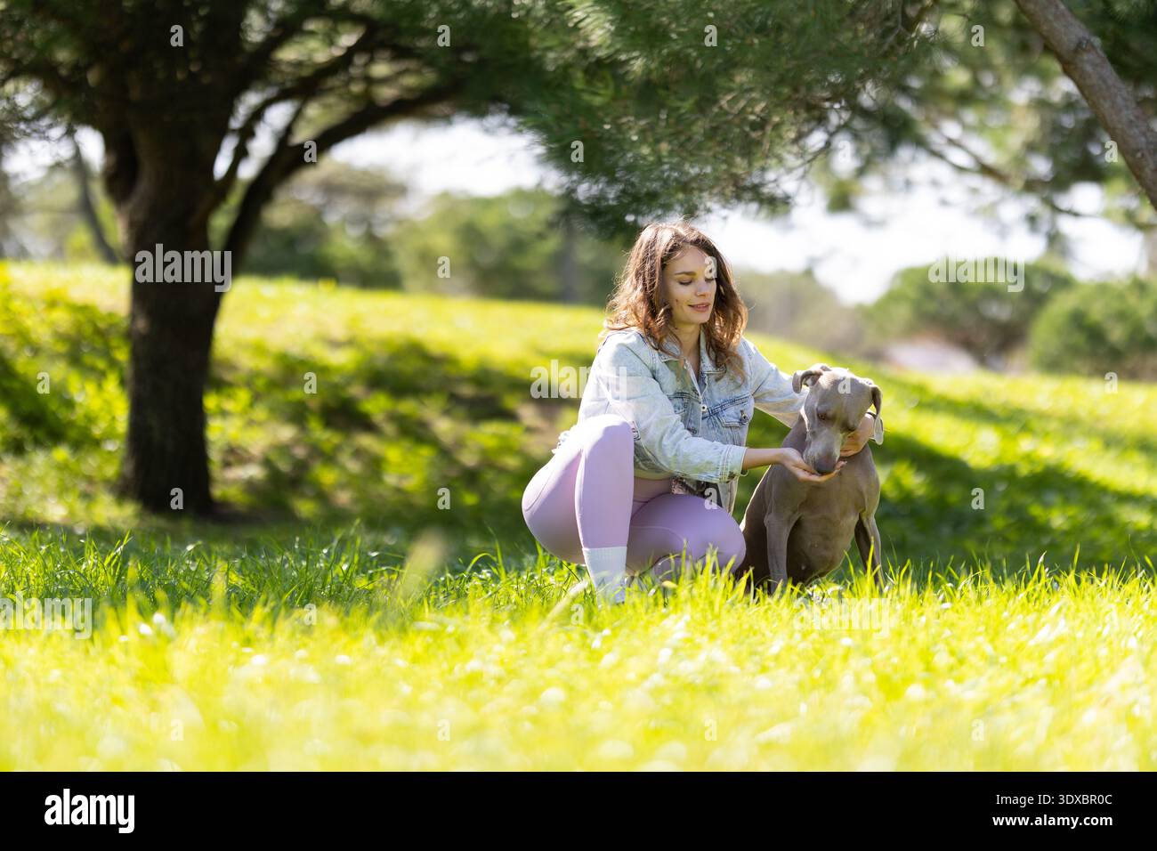 Donna che dà da mangiare al cane un regalo nel parco Foto Stock