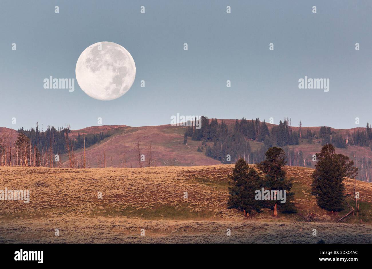Moonset, Lamar Valley, Yellowstone National Park, Stati Uniti. Lamar Valley, situata nell'angolo nord-orientale del parco nazionale di Yellowstone, è ampiamente considerata il luogo migliore in Nord America per vedere grandi predatori e megafauna nel loro habitat naturale. Crediti: NPS/Neal Herbert Foto Stock