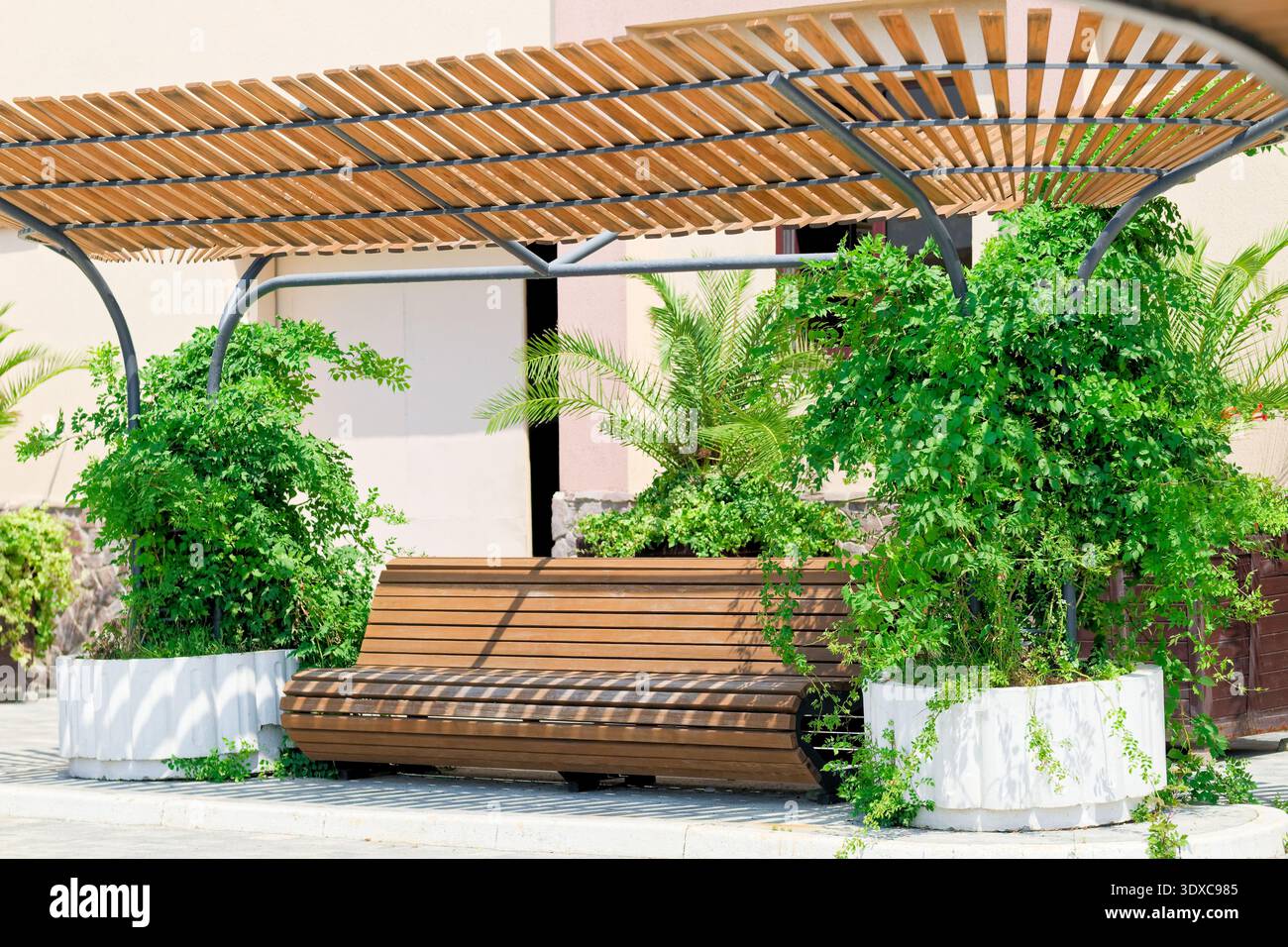 Panca in legno con baldacchino circondata da piante verdi. Miglioramento dello spazio urbano. Foto Stock