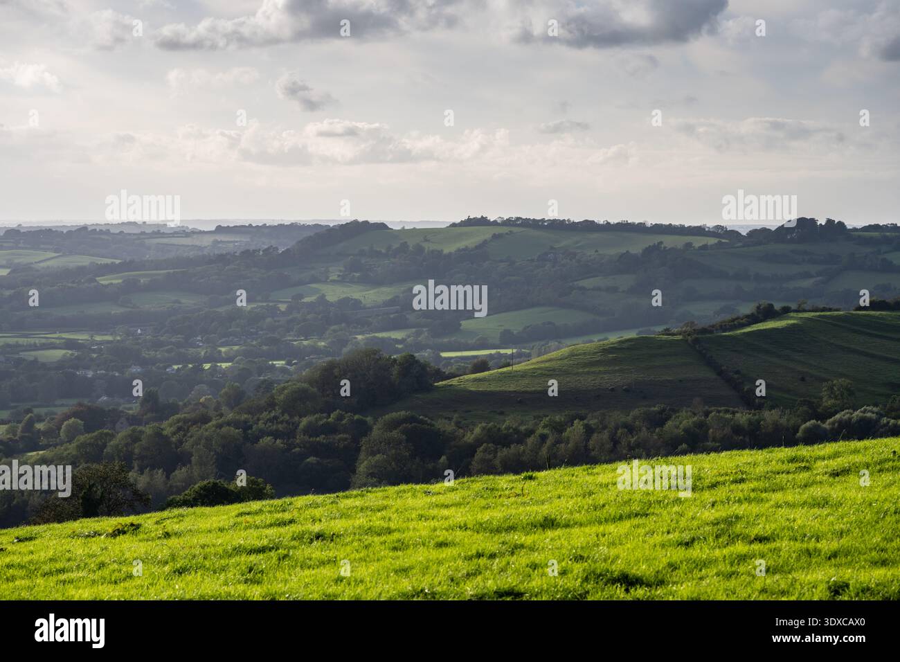 Beaminster è annidato in una valle sotto le colline ondulate del Dorset Downs all'estremità occidentale della formazione di gesso inglese. Foto Stock