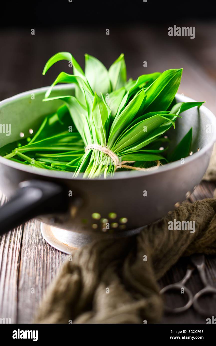 Foglie fresche di aglio selvatico in colino metallico su una superficie rustica in legno, foglie verdi con texture dettagliata. Concetto di preparazione alla cottura con erbe aromatiche Foto Stock