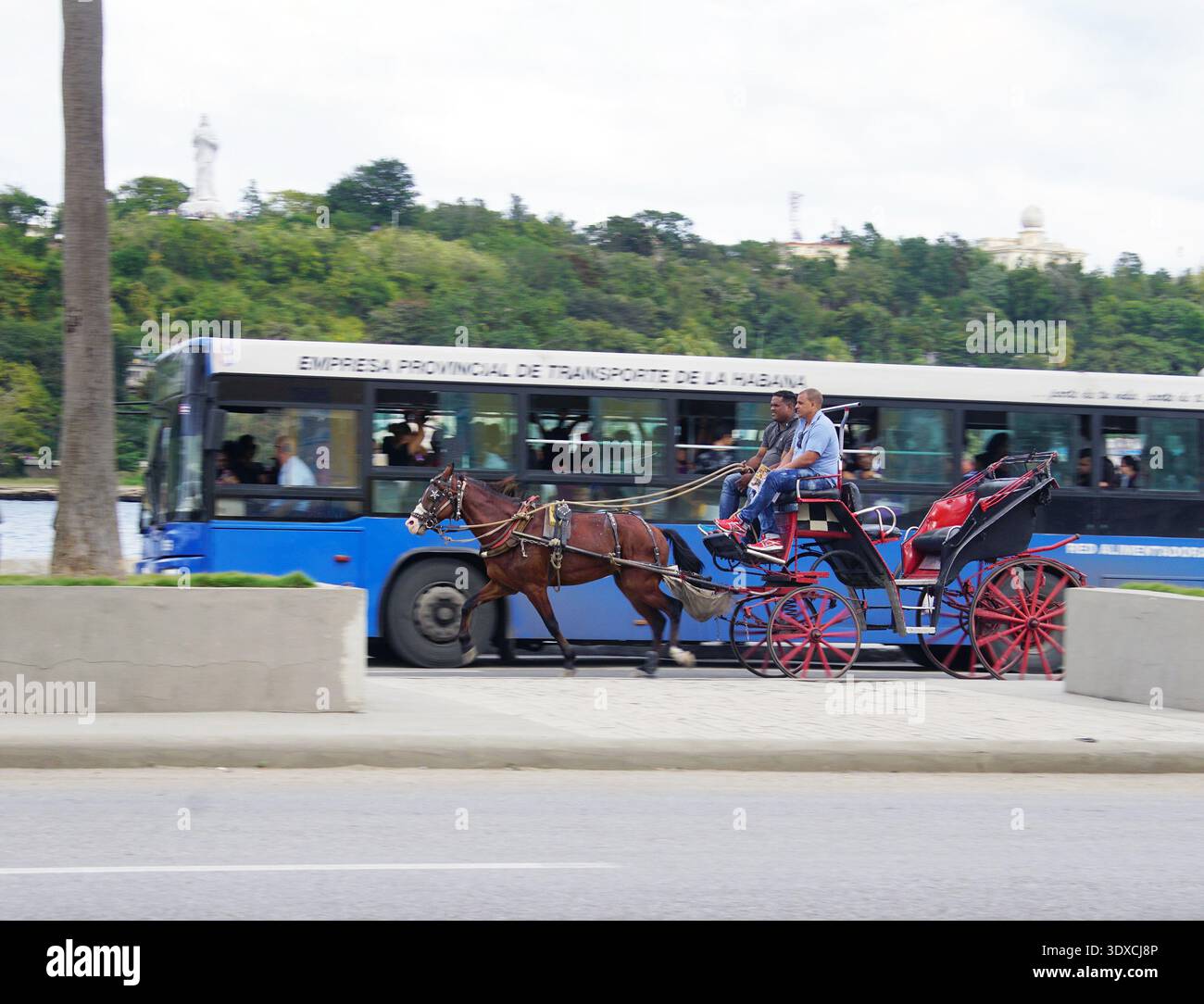 L'immagine mostra il contrasto tra un cavallo che tira una vecchia carrozza in velocità accanto a un moderno autobus cittadino a l'Avana, Cuba. Foto Stock