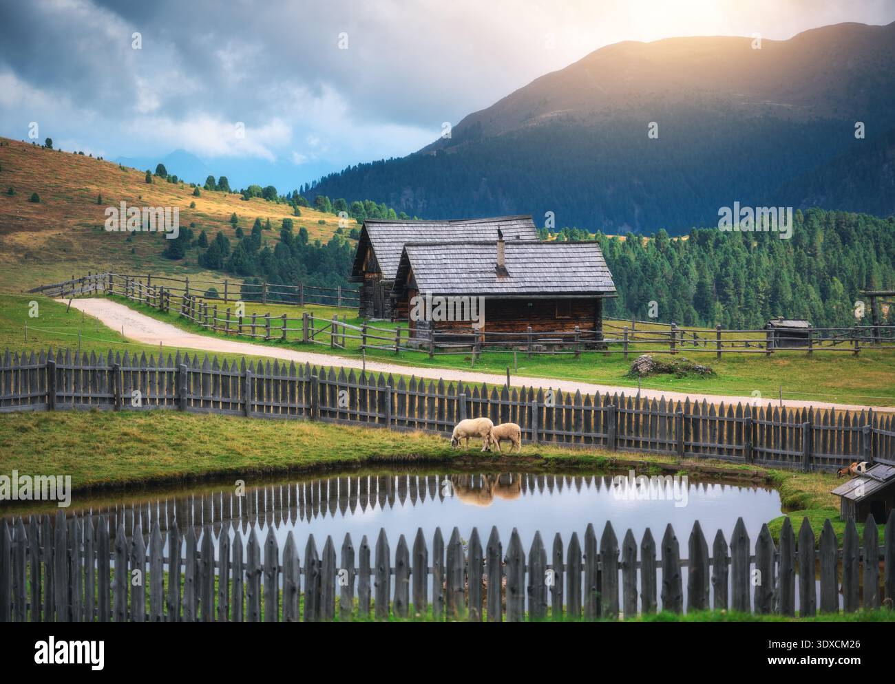 Due pecore che bevono acqua vicino al piccolo stagno con riflessi nelle Alpi Foto Stock