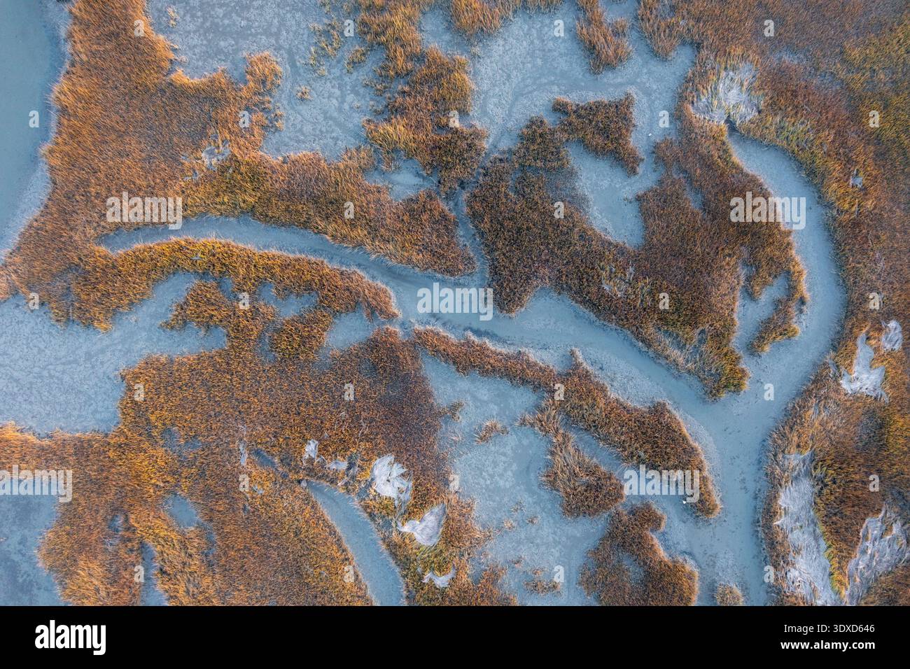 Vista aerea dall'alto verso il basso della palude di marea nel fiume Lynnhaven, Virginia Beach Foto Stock