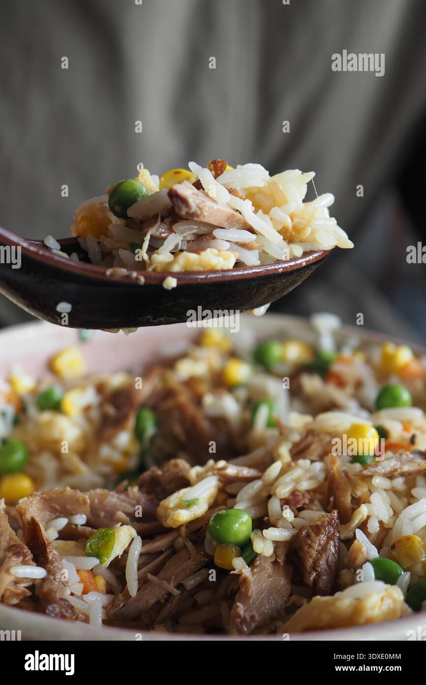Delizioso piatto di riso con carne e verdure su un cucchiaio Foto Stock