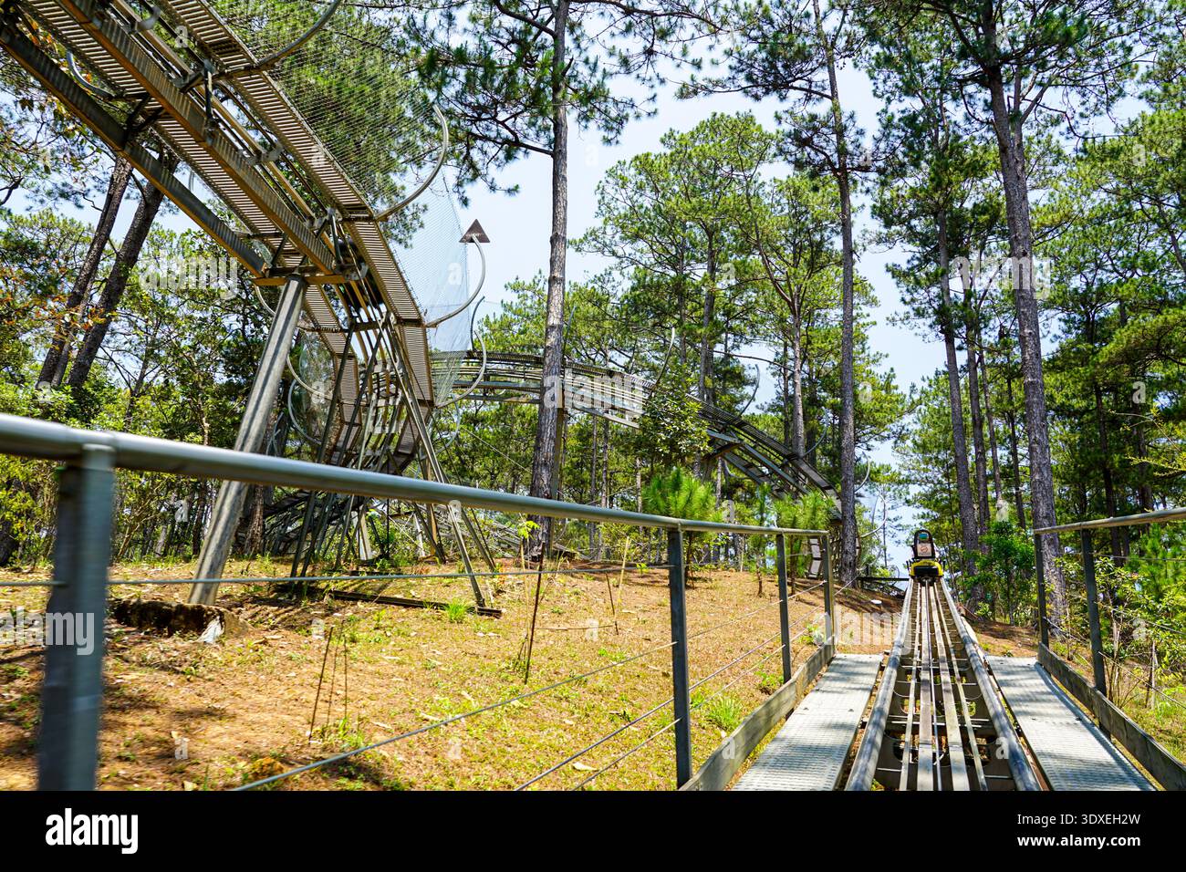 Alpine Coaster Track attraverso i pini al Datanla Waterfall Adventure Park di da Lat, Vietnam Foto Stock