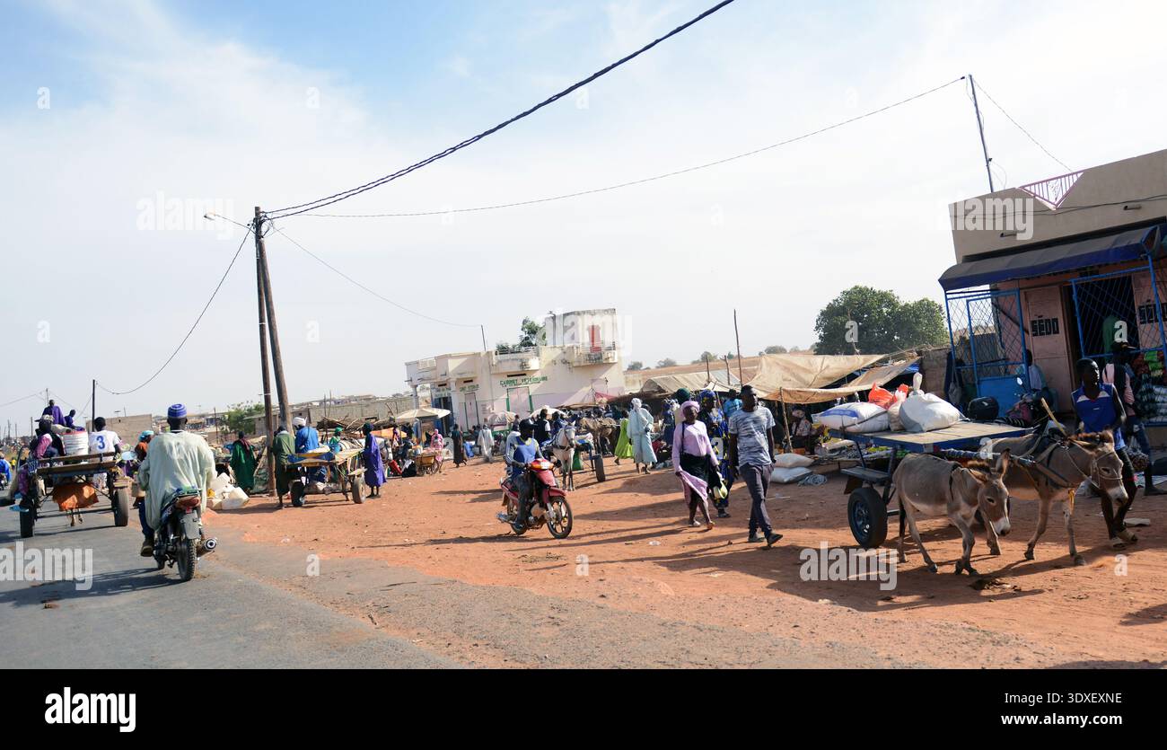 Affollato mercato di strada rurale con carri trainati da asini, moto e venditori locali in Senegal. Foto Stock