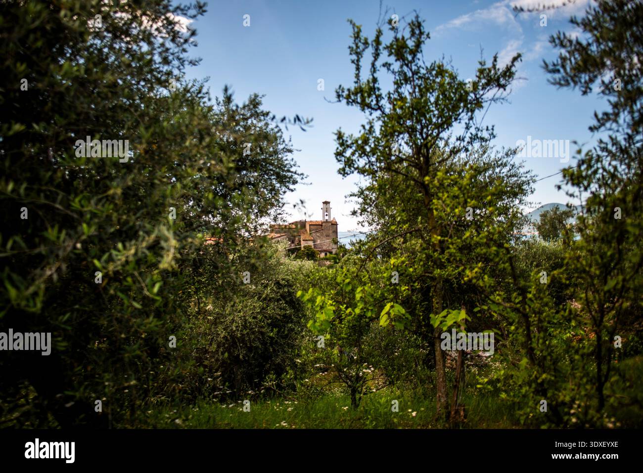 Città di San Zeno di montagna sul Lago di Garda piccolo borgo medievale vicino a Torri del Benaco Verona Veneto Italia Foto Stock
