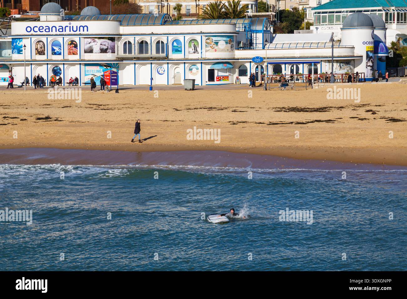 Oceanarium sul lungomare presso Bournemouth Beach a Bournemouth, Dorset, Regno Unito a febbraio Foto Stock