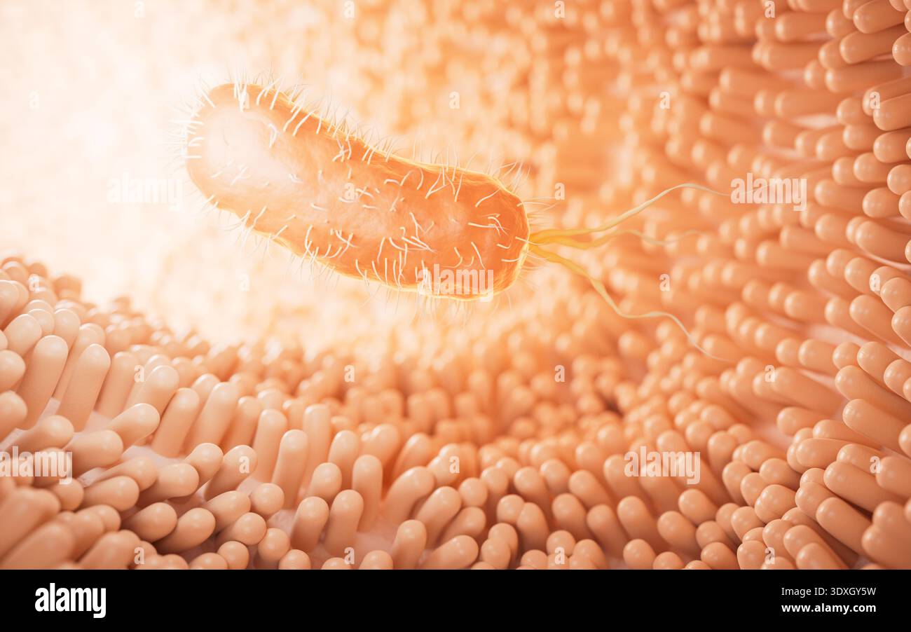 Canale intestinale carnoso rivestito con germi all'interno, rendering 3d. Illustrazione 3D. Foto Stock