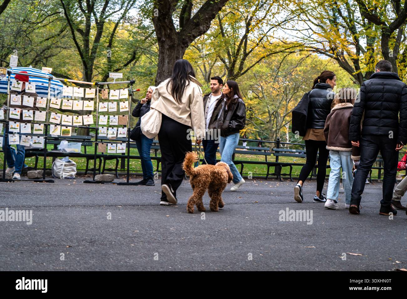 New York, USA - 25 ottobre 2025: Central Park in autunno con persone che camminano, fanno jogging e si godono il colorato fogliame autunnale. Foto Stock