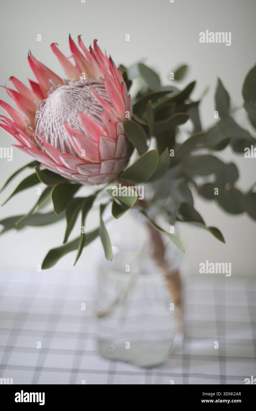fiori in vaso. Arredamento e interni. Dettagli della natura morta nell'interno della casa del soggiorno. Accogliente concetto primaverile. Foto Stock