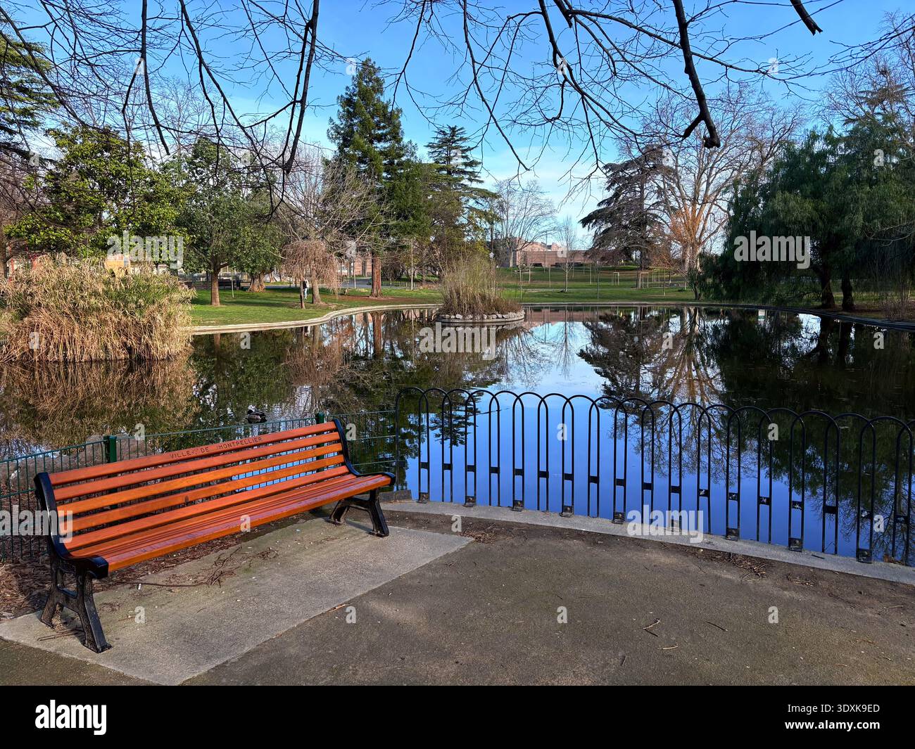 Bassin du Champ de Mars (Mars Field Basin) a Montpellier, Francia, con una panchina pubblica in legno che si affaccia sull'acqua e sugli alberi riflettenti. Foto Stock