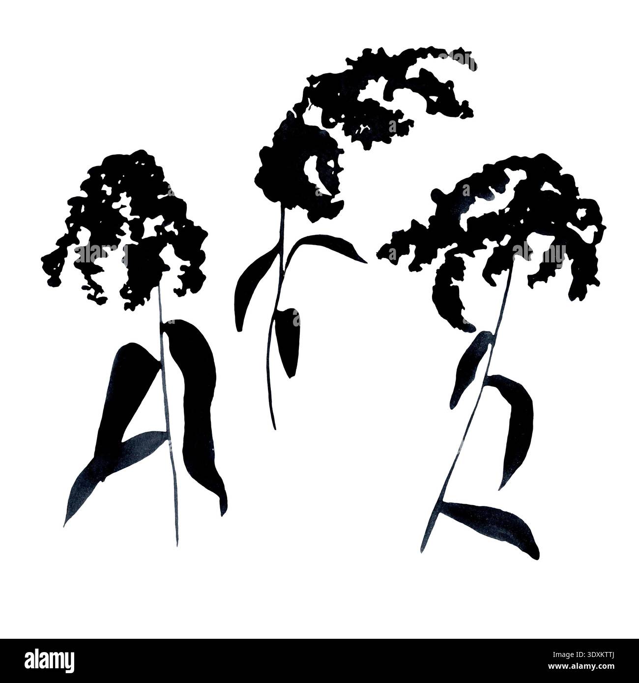 grafica ad acquerello sagoma in erba per inviti di nozze, biglietti di fiori, design in tessuto o poster botanici Foto Stock