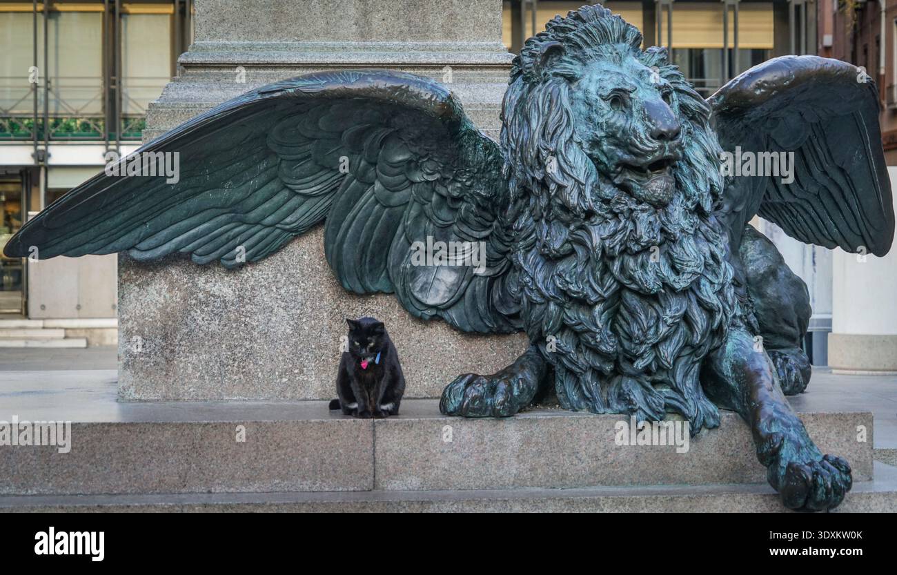 Gatto nero accanto a un leone alato di bronzo al monumento di Daniele Manin, Campo Manin, Venezia, Italia. Gatto piccolo, gatto grande. Foto Stock