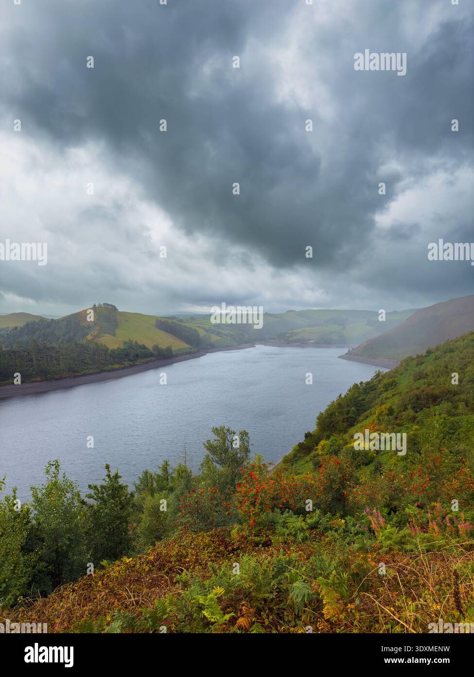 Lago artificiale Llyn Clywedog nel Galles centrale sotto il cielo estivo tempestoso Foto Stock