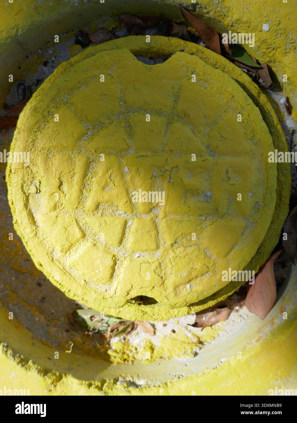 Coperchio di accesso all'acqua rotondo in metallo verniciato in giallo per foto verticale Foto Stock