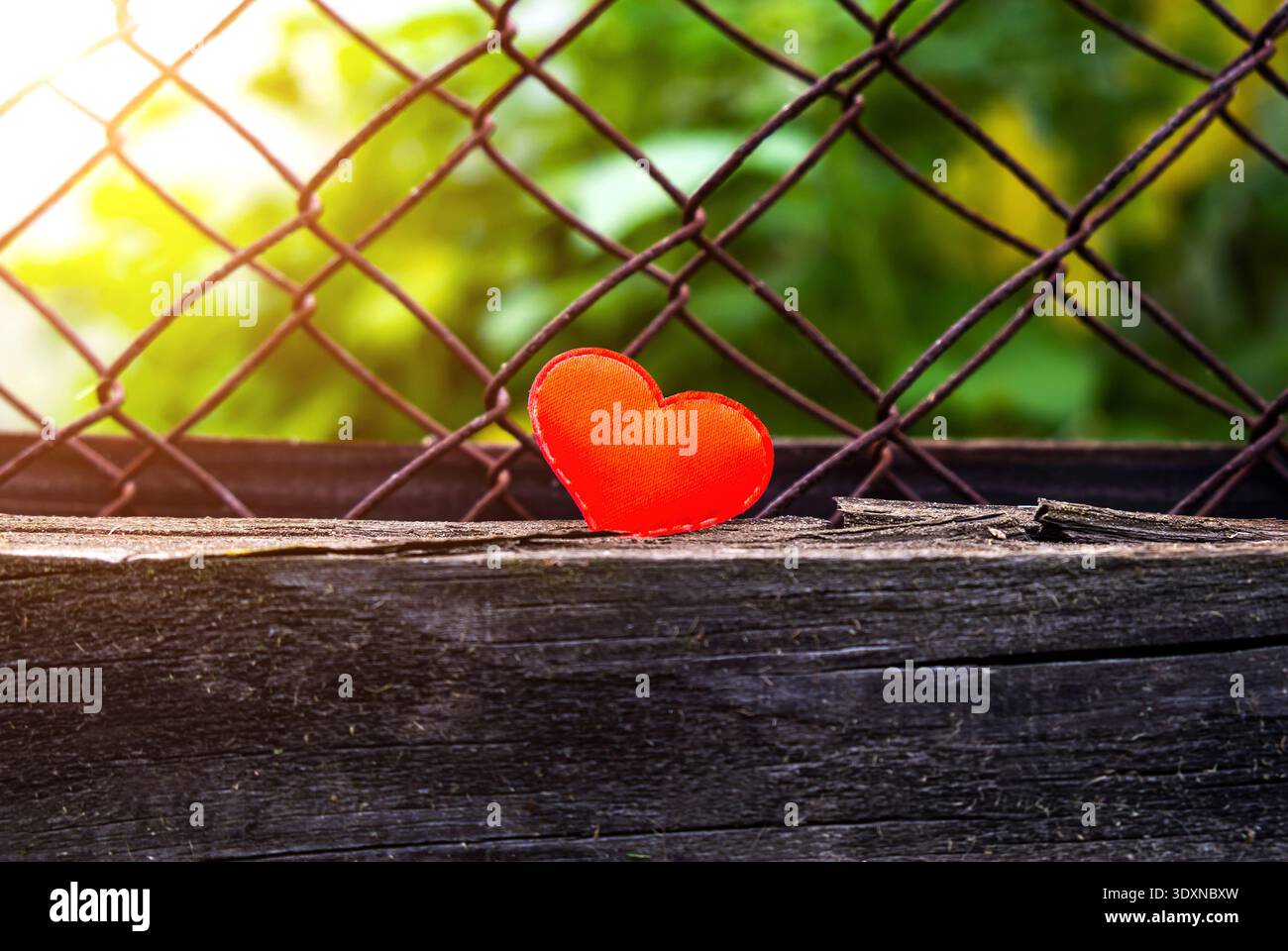 Red Heart Shape sul vecchio Plank in legno e Rusty Metallic Grid Foto Stock