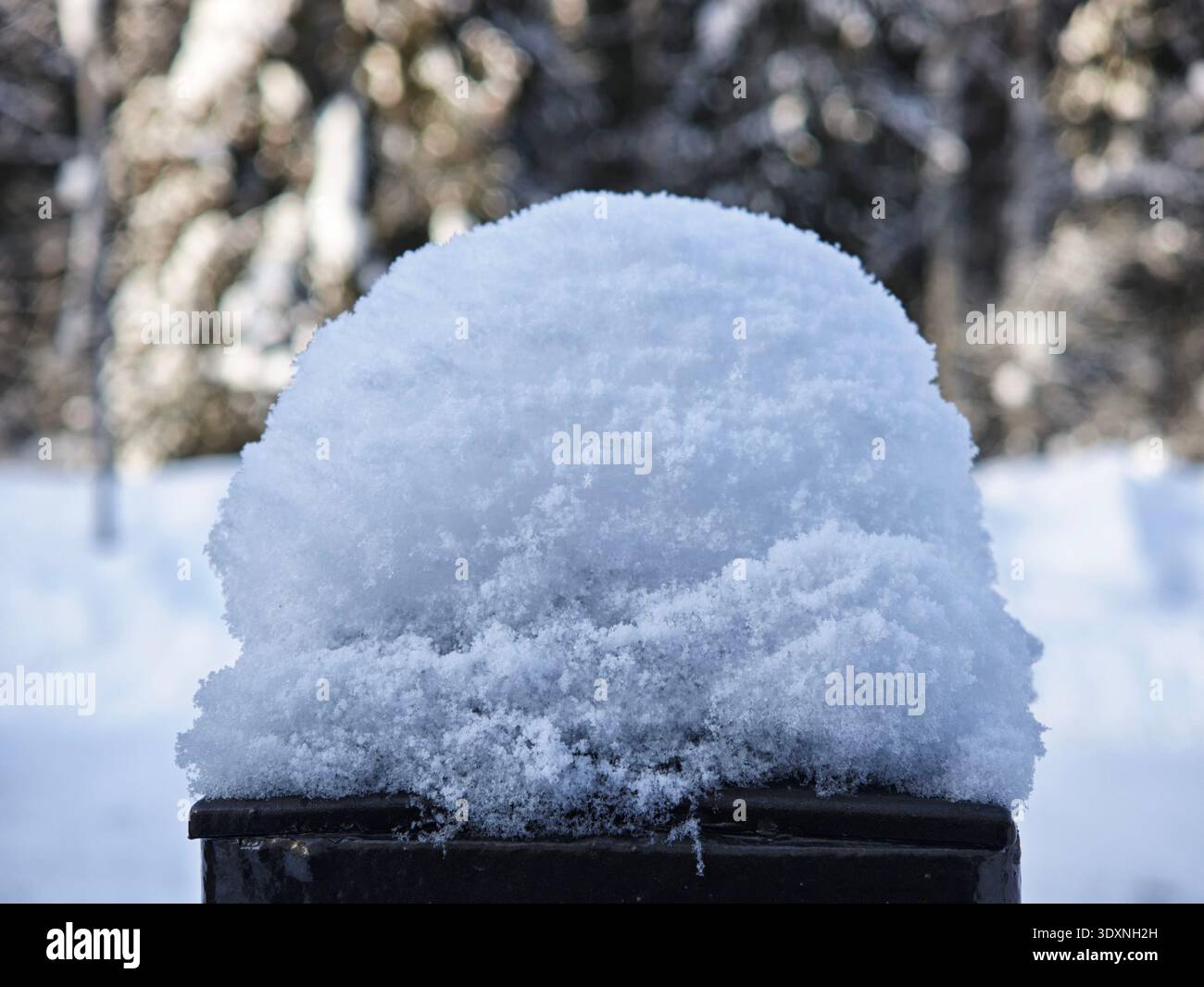 La neve copre una superficie scura creando una forma bianca arrotondata circondata da un paesaggio di alberi e più neve in una fredda scena invernale. Foto Stock