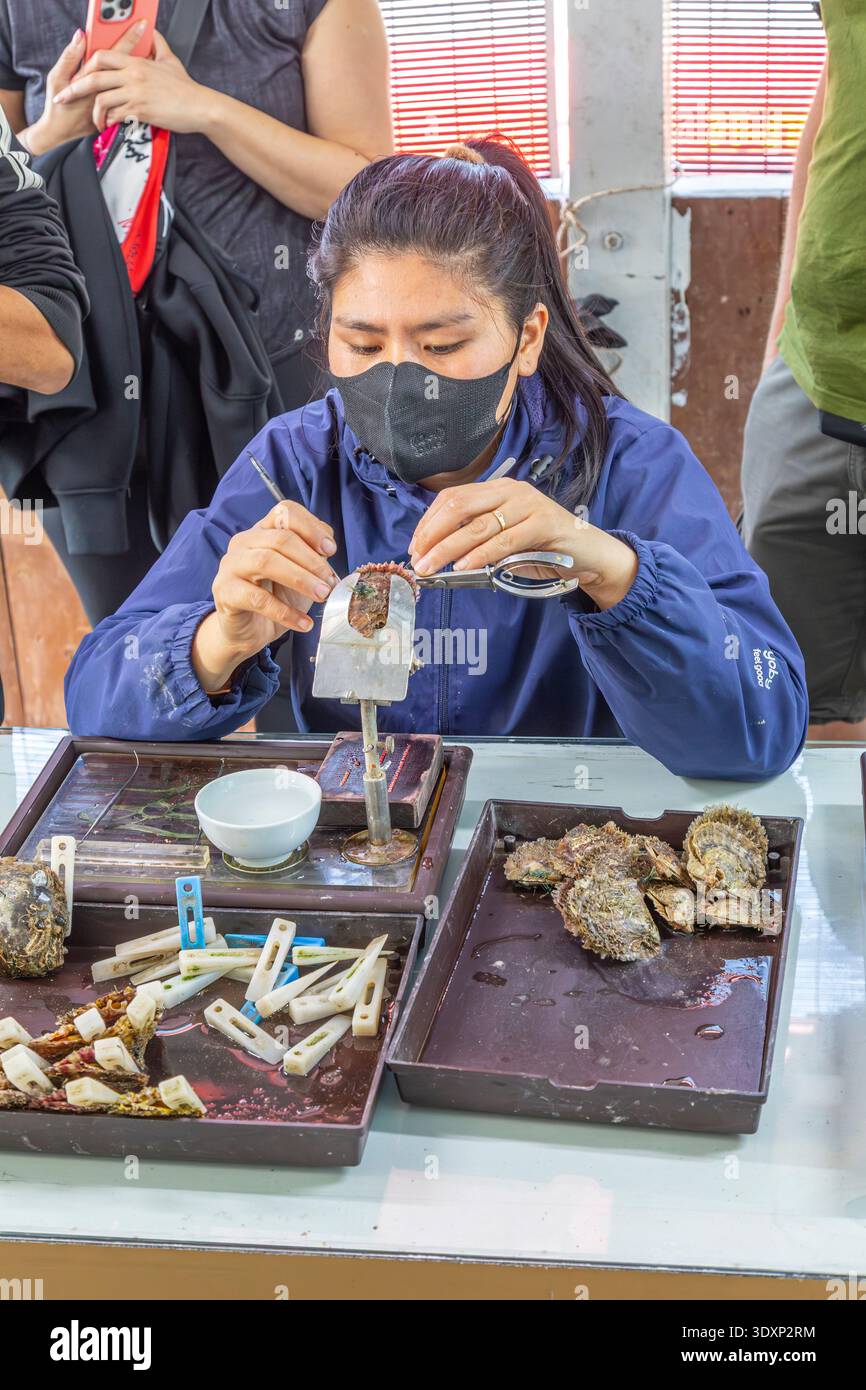 Una signora che impila l'inizio di una perla in un'ostrica alla ha Long Pearl Farm, ha Long Bay, Vietnam. Foto Stock