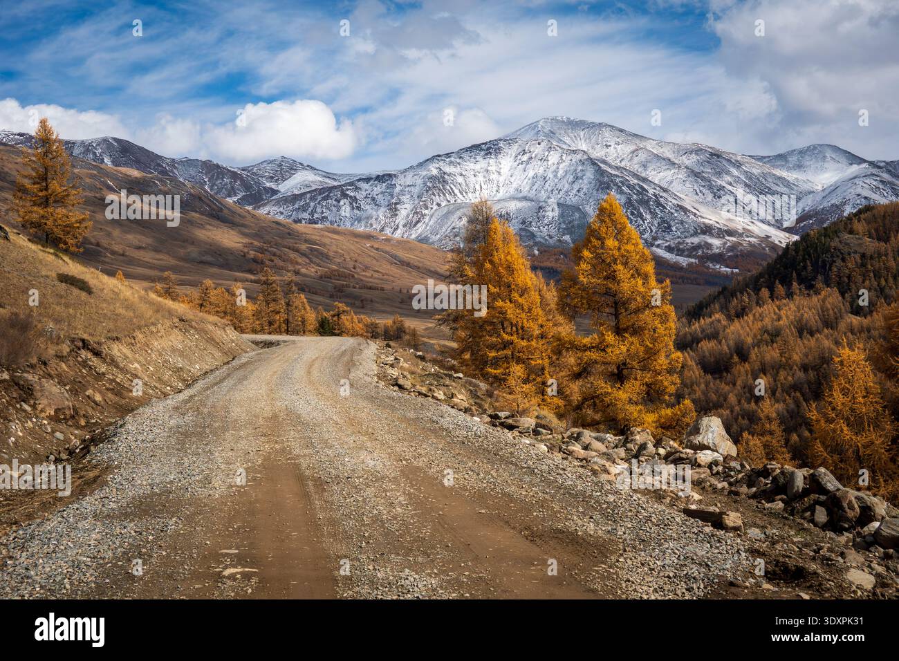 Strada sterrata che conduce attraverso il paesaggio montano autunnale con colorate foglie gialle, vette innevate e natura selvaggia rustica. Ideale per viaggi, all'aperto e temi naturalistici che descrivono viaggi remoti e sereni. Foto Stock