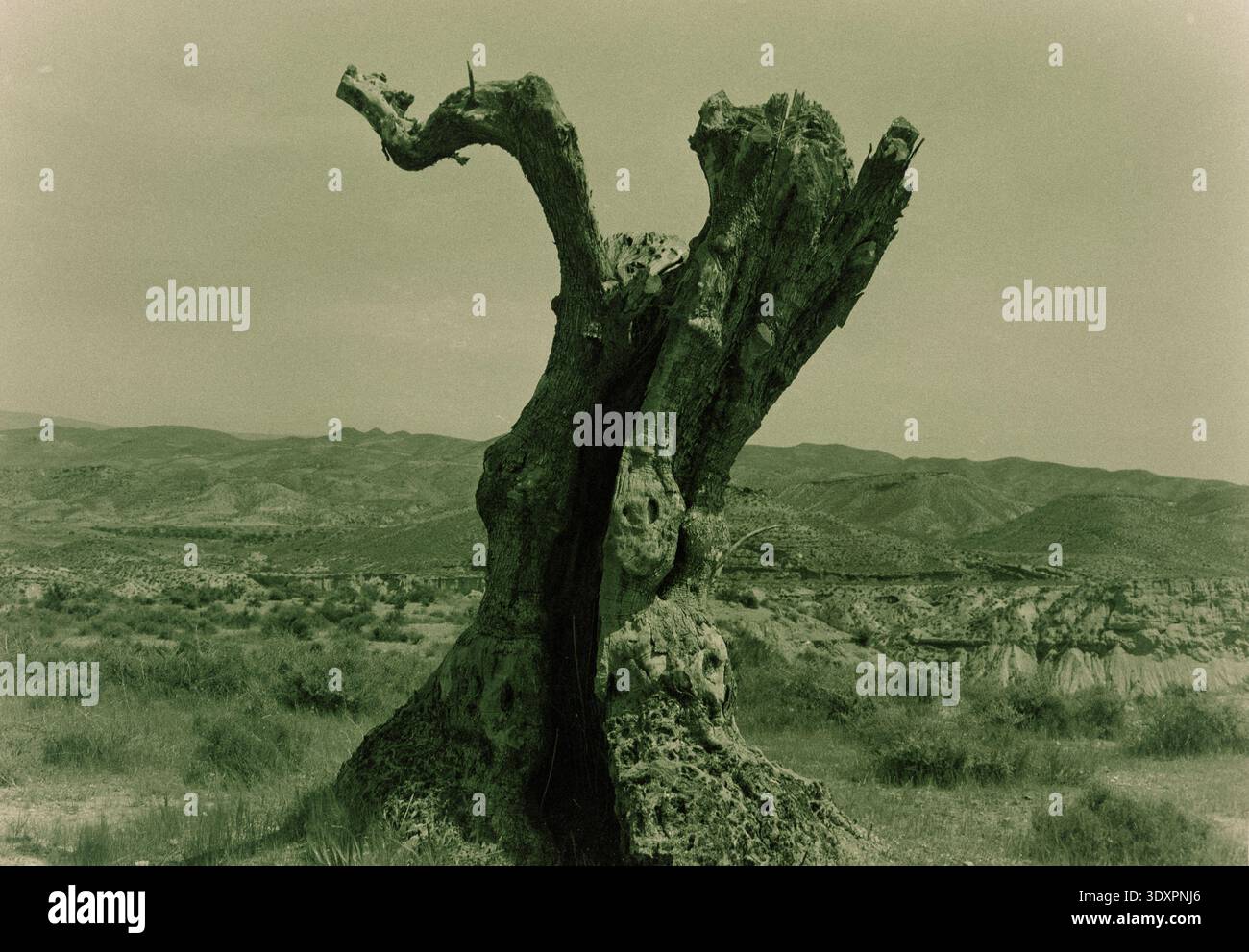 Set cinematografici a tema occidentale a Almería, Spagna Foto Stock