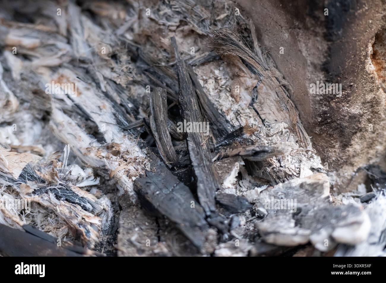 Primo piano di ceneri grigie e frammenti di legno carbonizzato nero Foto Stock