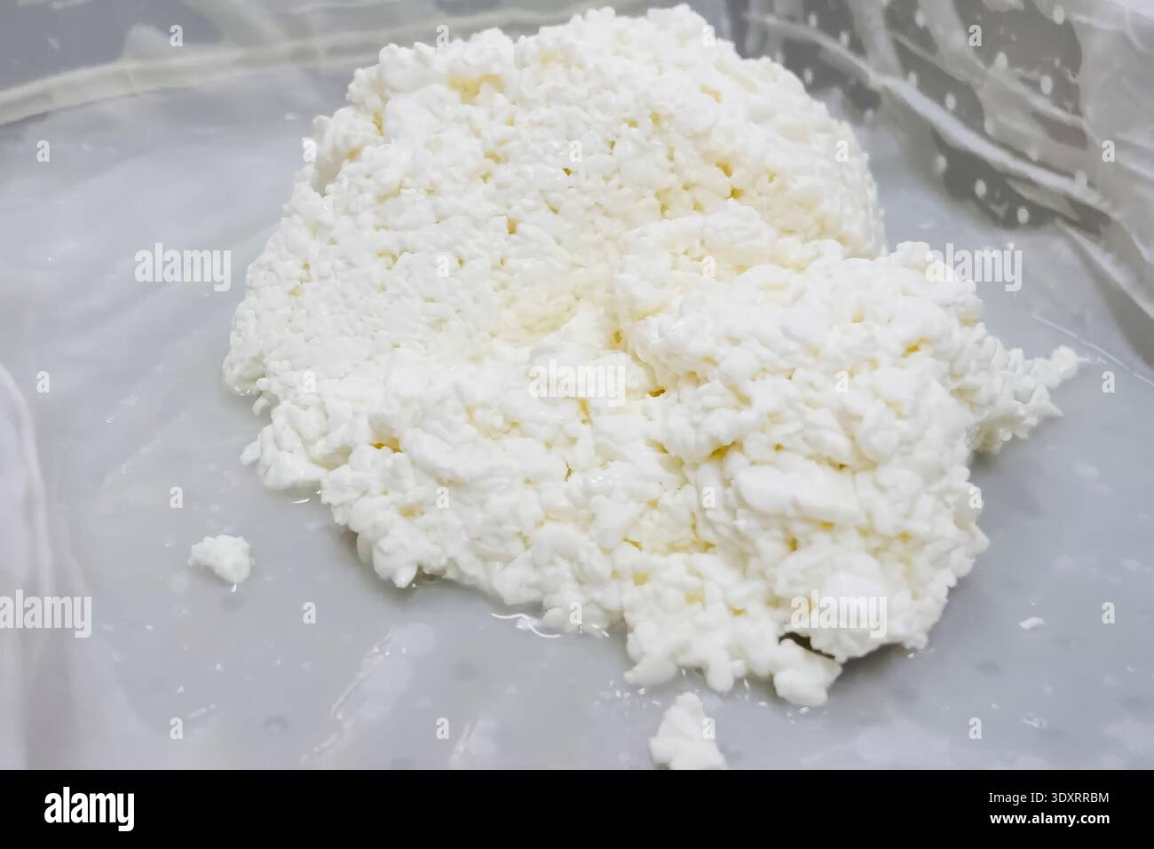 Massa di cagliata fresca, un pezzo di formaggio fresco prodotto industrialmente viene prelevato per il test e la valutazione. Foto Stock