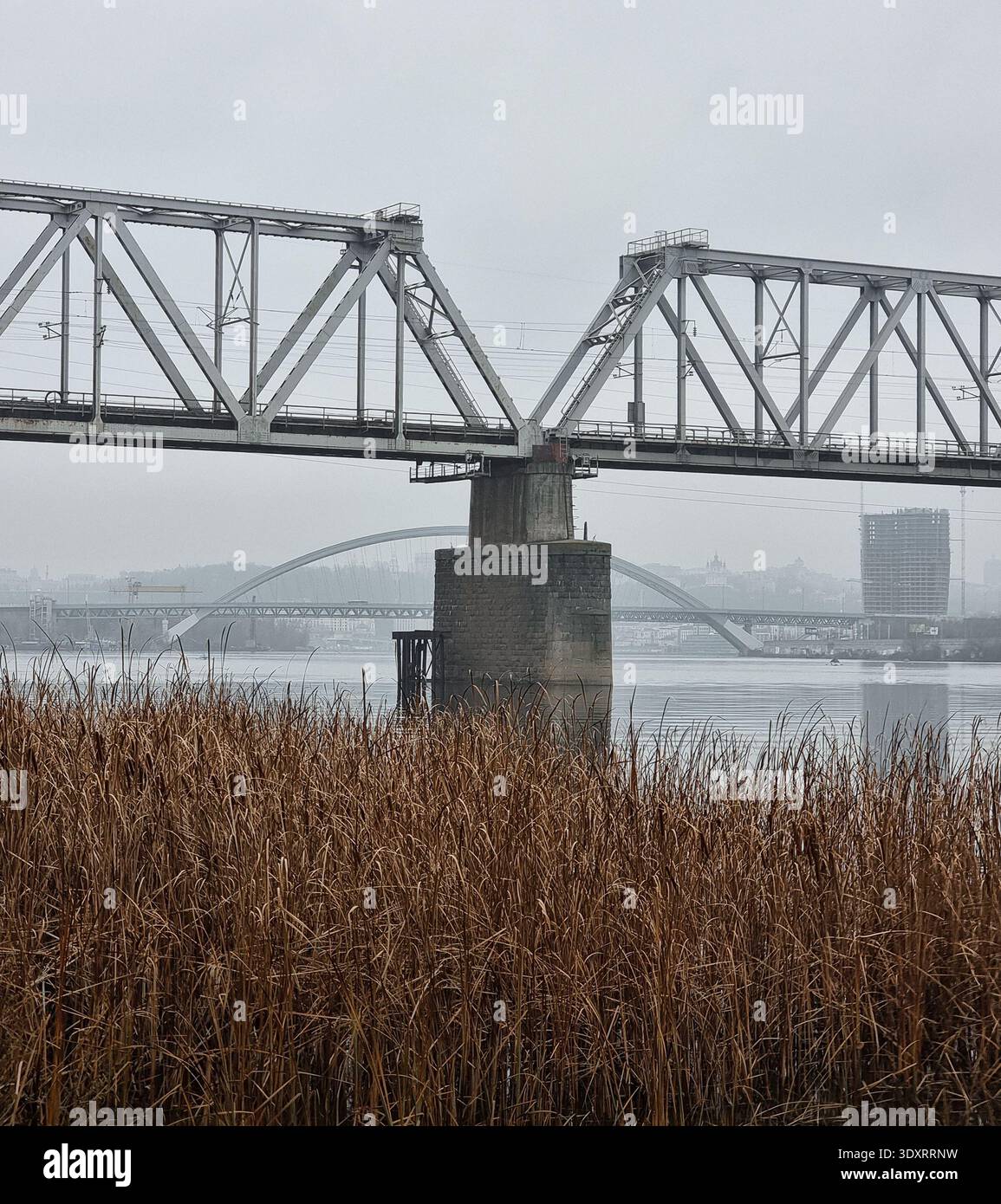 Ponte ferroviario sul fiume con canne. Ponte ferroviario che attraversa un fiume Dnipro a Kiev, sfondo urbano nebbioso sotto un cielo coperto. Foto Stock