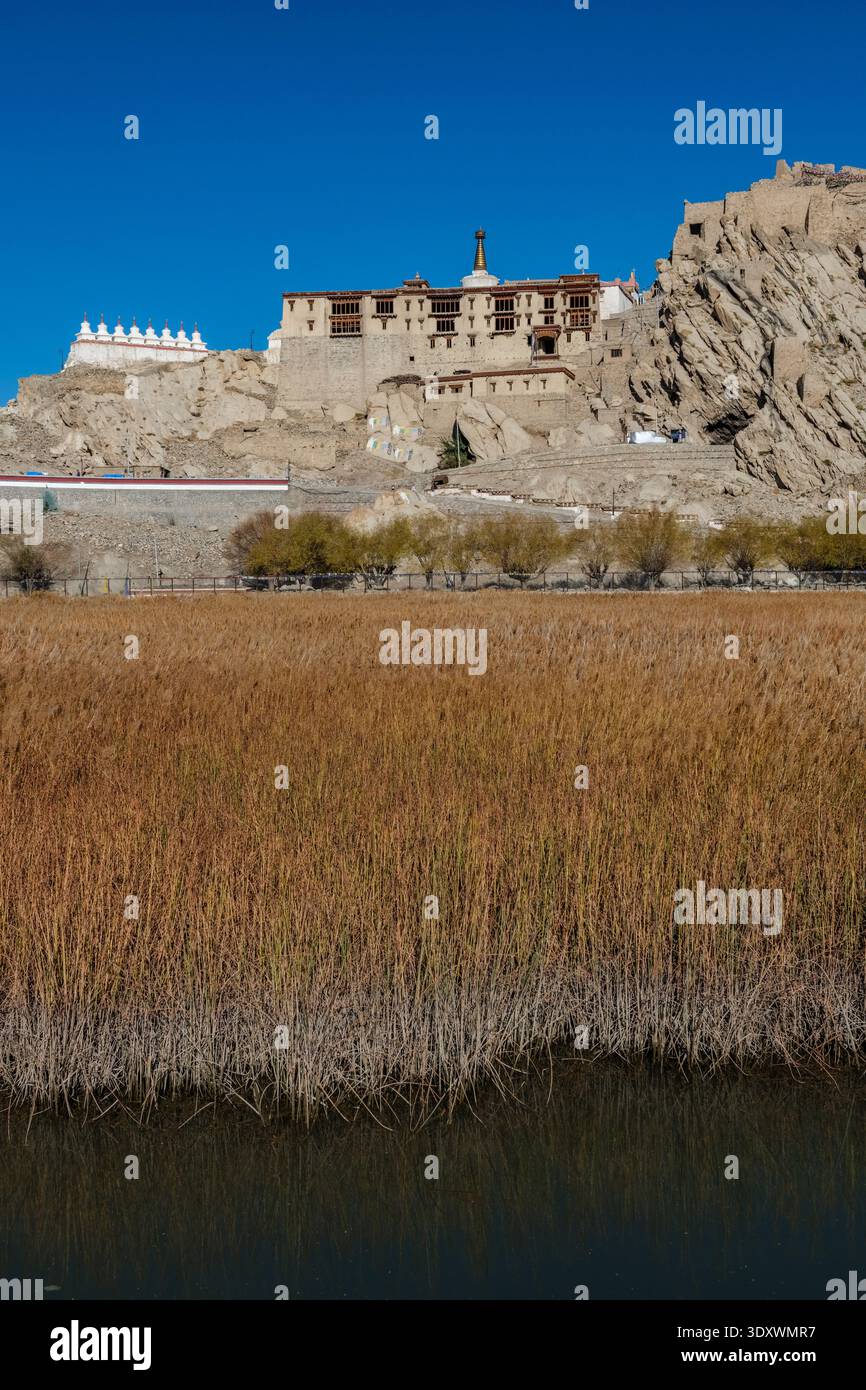 Un tranquillo laghetto e densa canne conducono l'occhio verso il complesso sopraelevato del Palazzo Shey, adagiato contro il paesaggio arido. Foto Stock