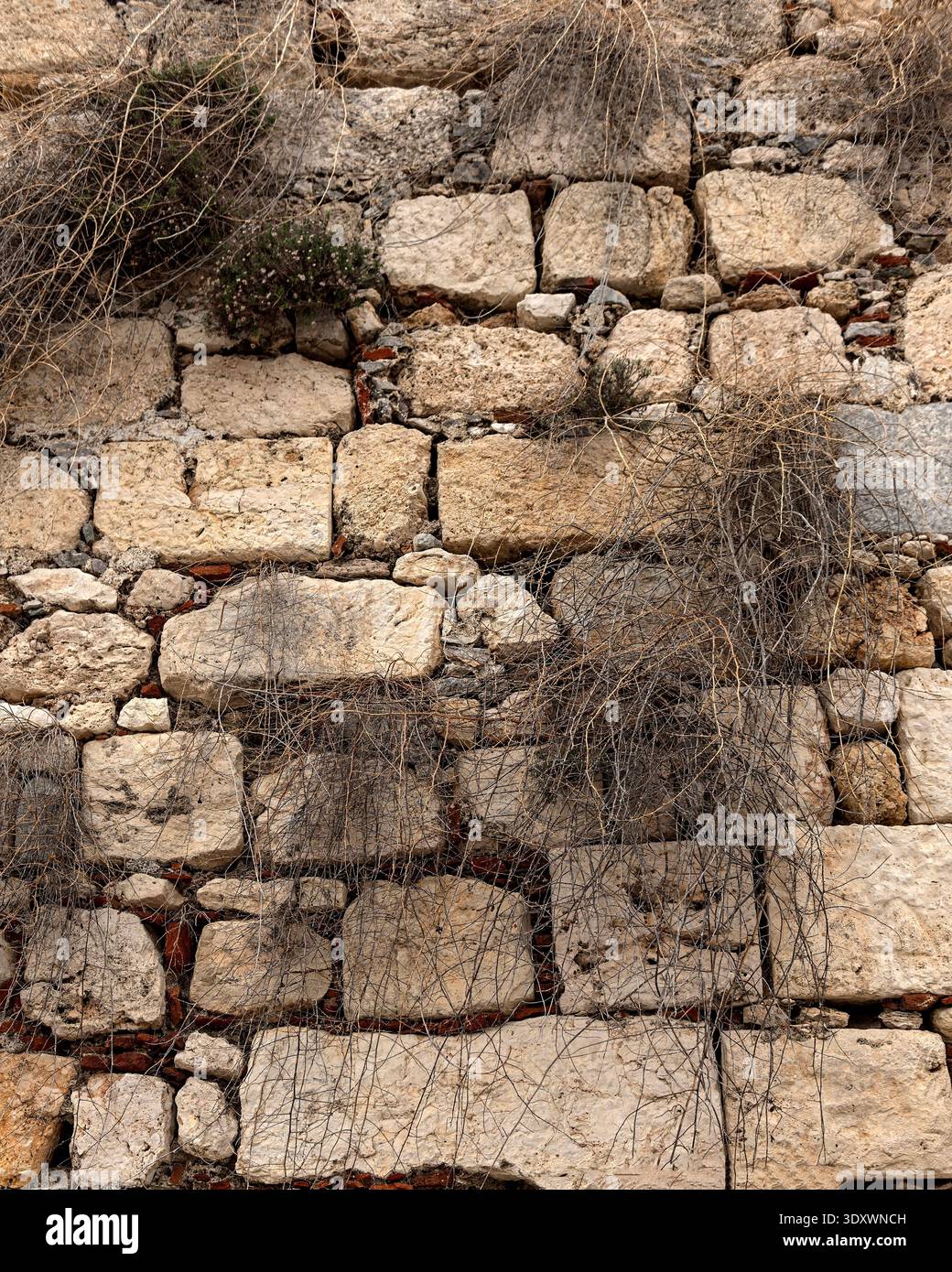 Sfondo rustico in pietra calcarea con struttura in pietra naturale, muratura resistente agli agenti atmosferici e vegetazione secca per arrampicate. Ideale per temi architettonici e di viaggio Foto Stock