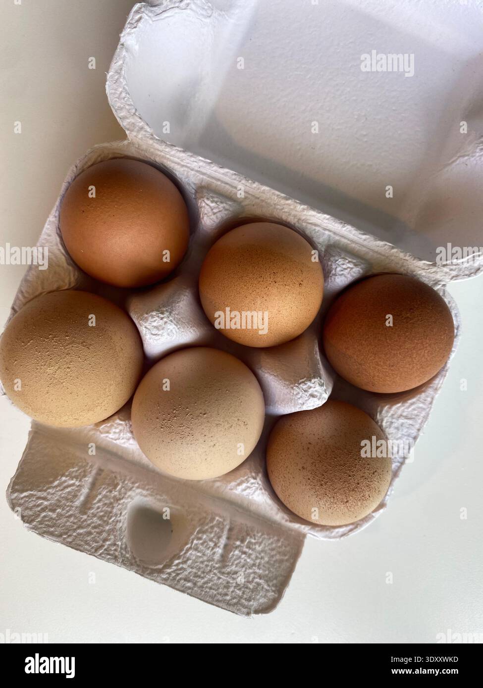 Mezza dozzina di uova di Brown fresche in cartone Foto Stock