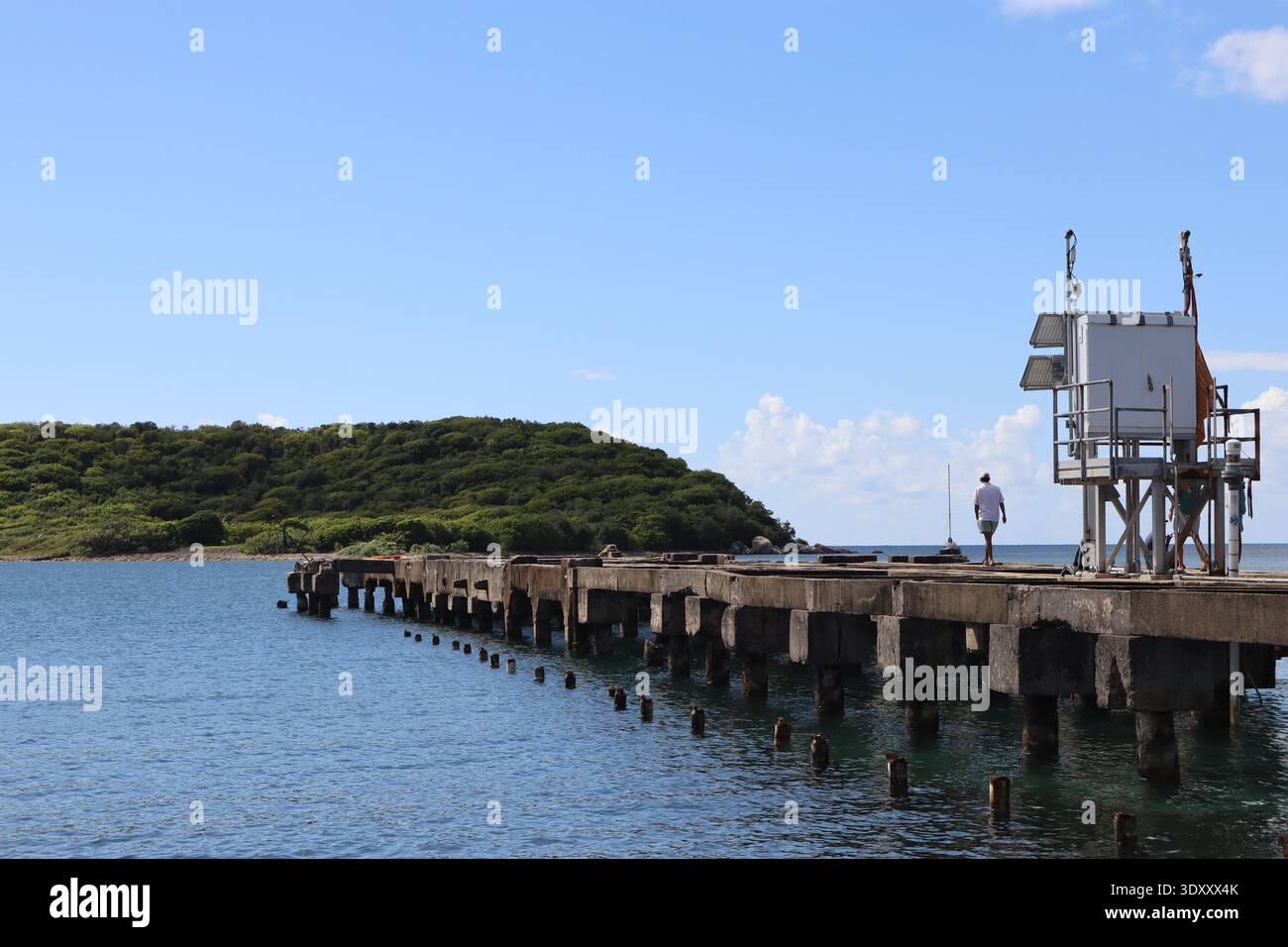 Costa di Esperanza, Vieques, Porto Rico Foto Stock